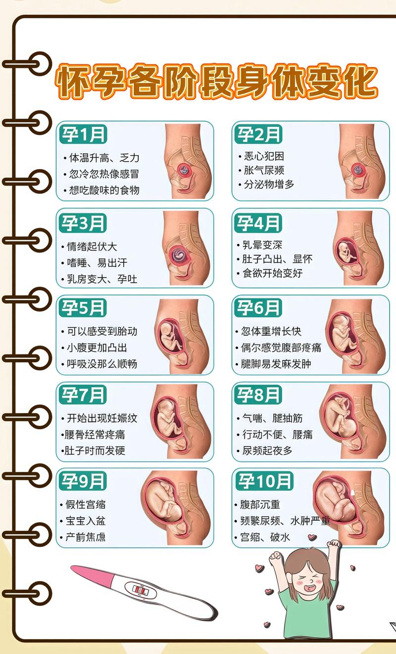 揭秘供卵代孕妈妈怀孕小腹分两节，孕期变化的奥秘舟山代生机构: