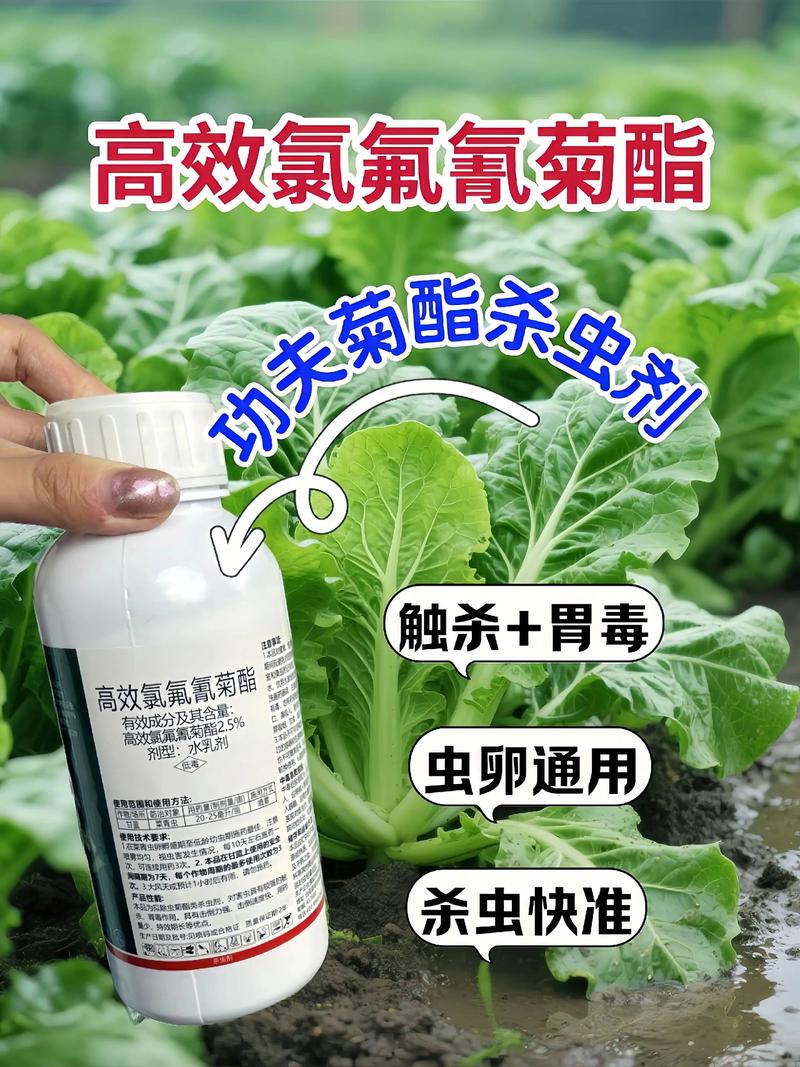 舟山代生中心:农药对供卵代生妈妈的危害